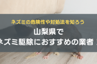 ②山梨県でネズミ駆除におすすめの業者　！ネズミの危険性や対処法を知ろう